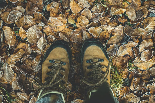Wanderschuhe reinigen & pflegen – Schritt für Schritt zum sauberen Schuh!